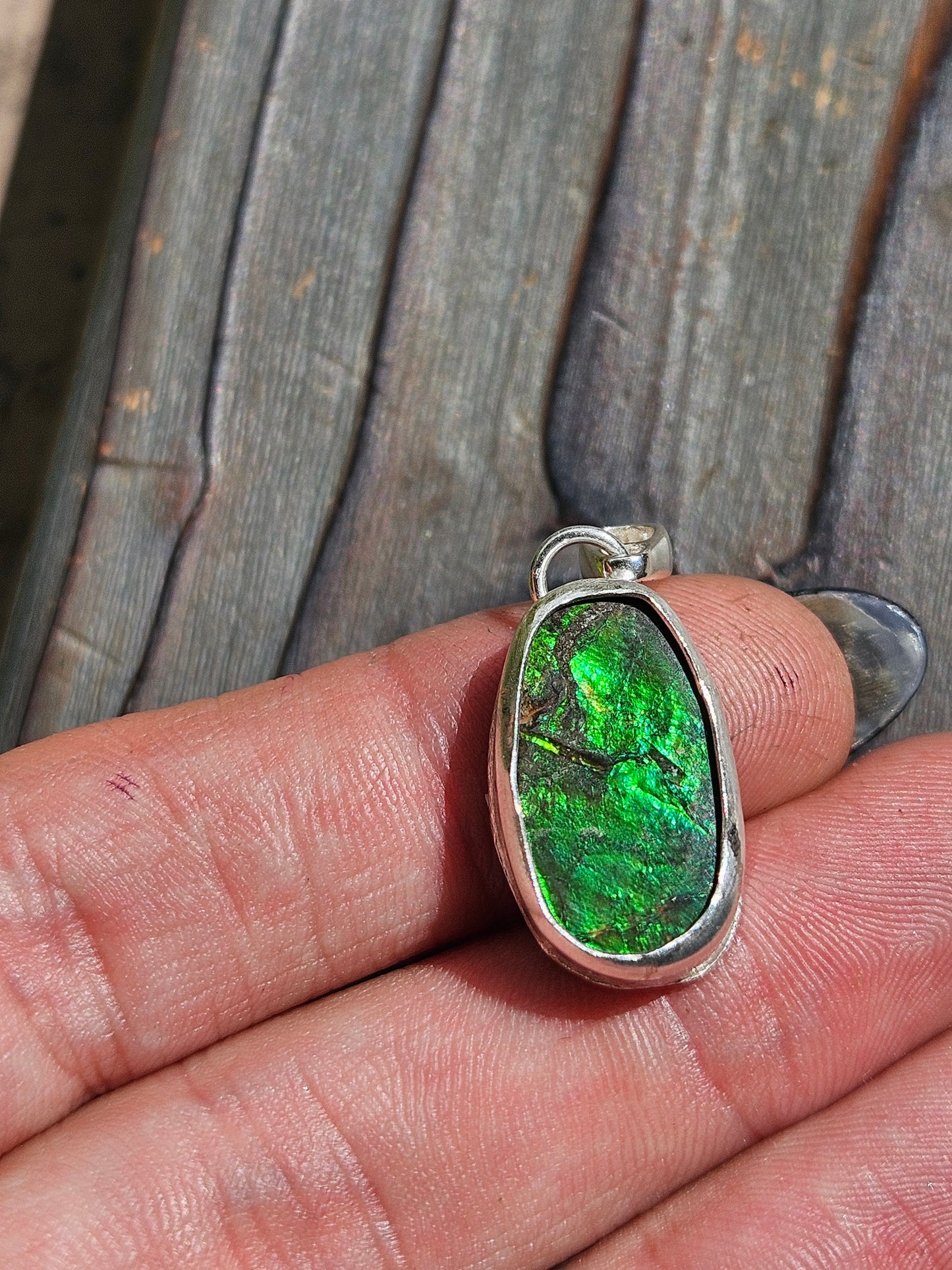 Ammolite Pendant