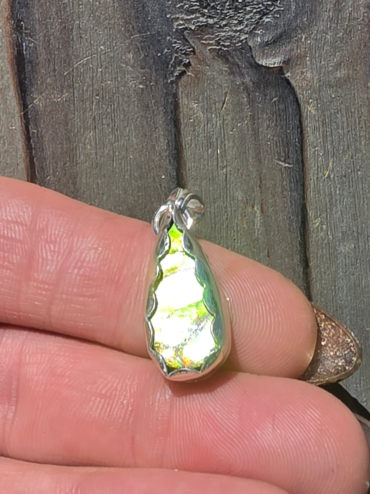 Green Ammolite