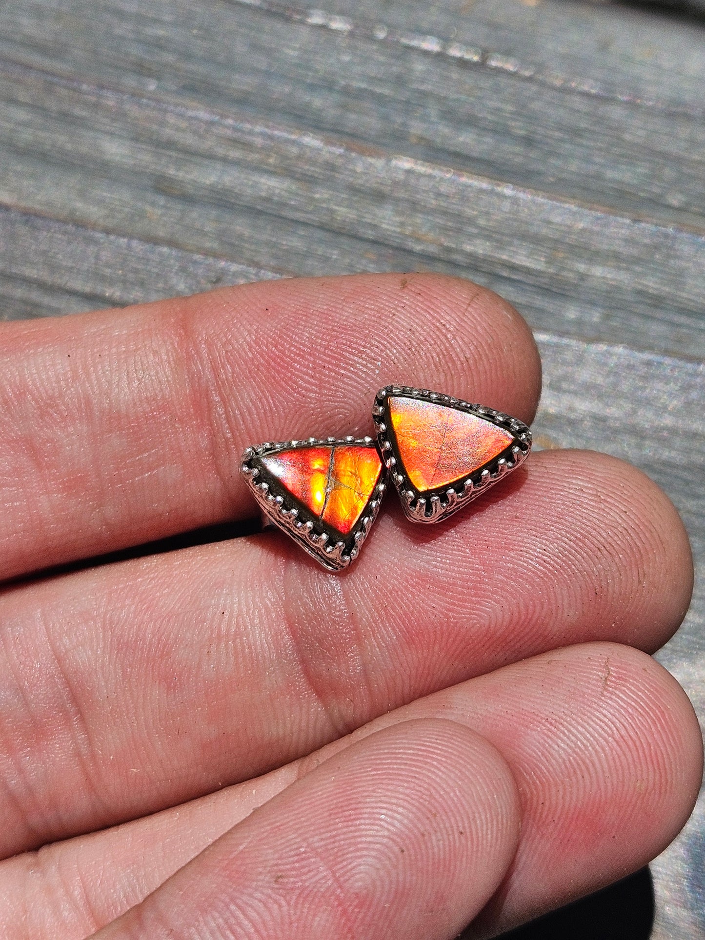 Ammolite Stud Earrings