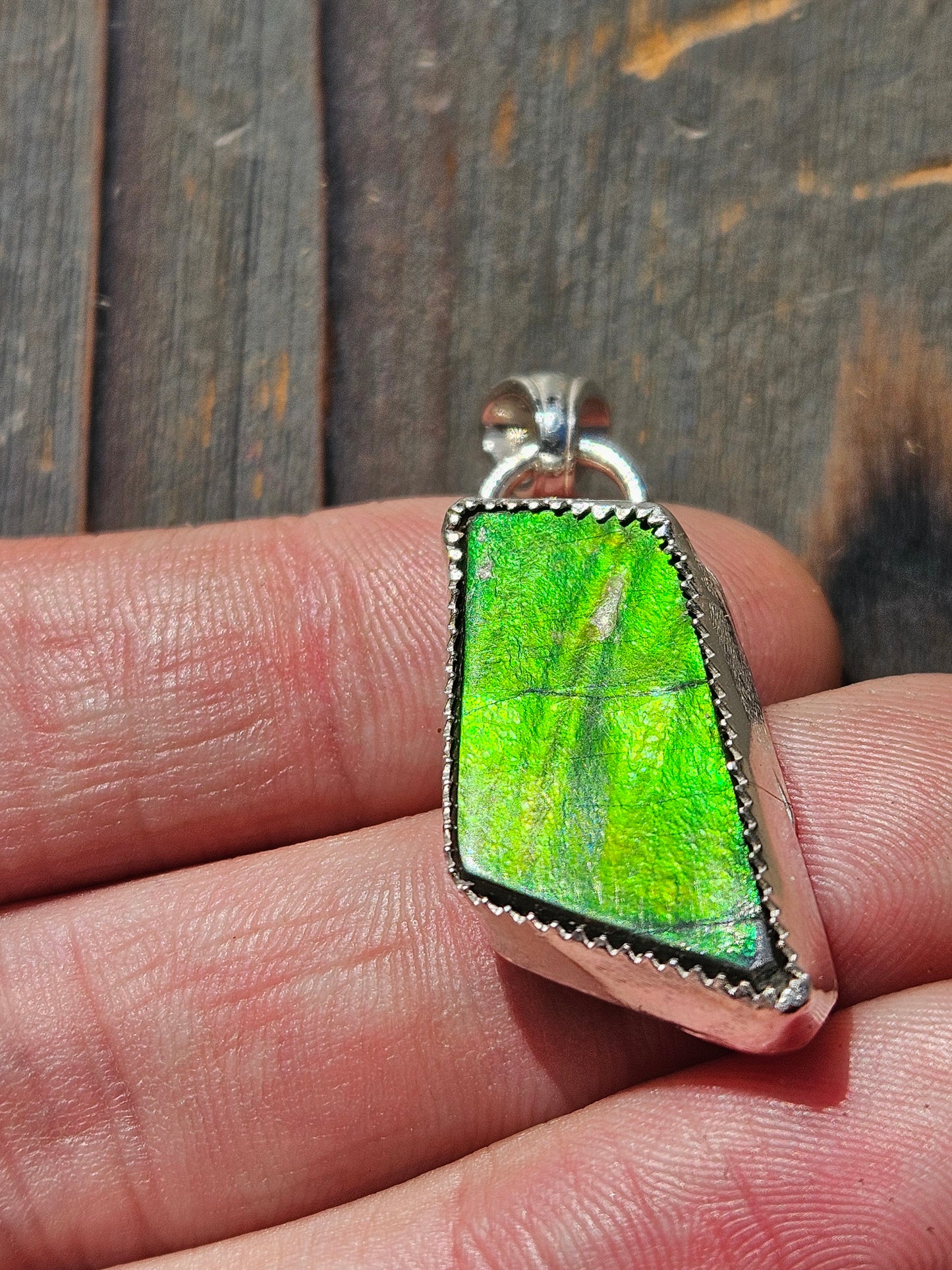 Green Ammolite Pendant