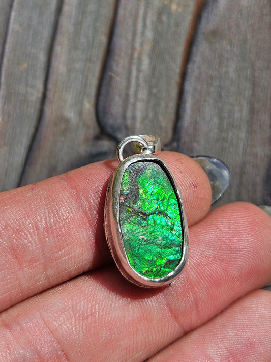 Ammolite Pendant