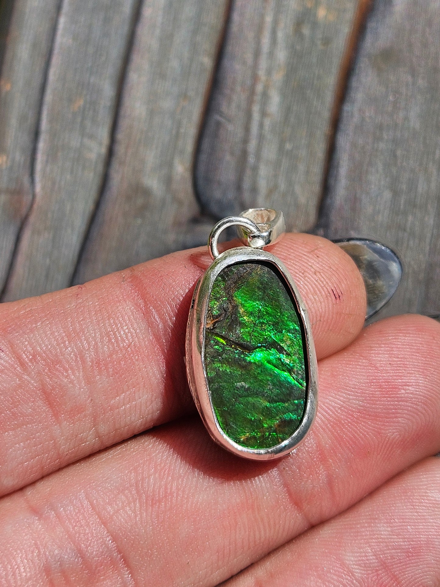 Ammolite Pendant