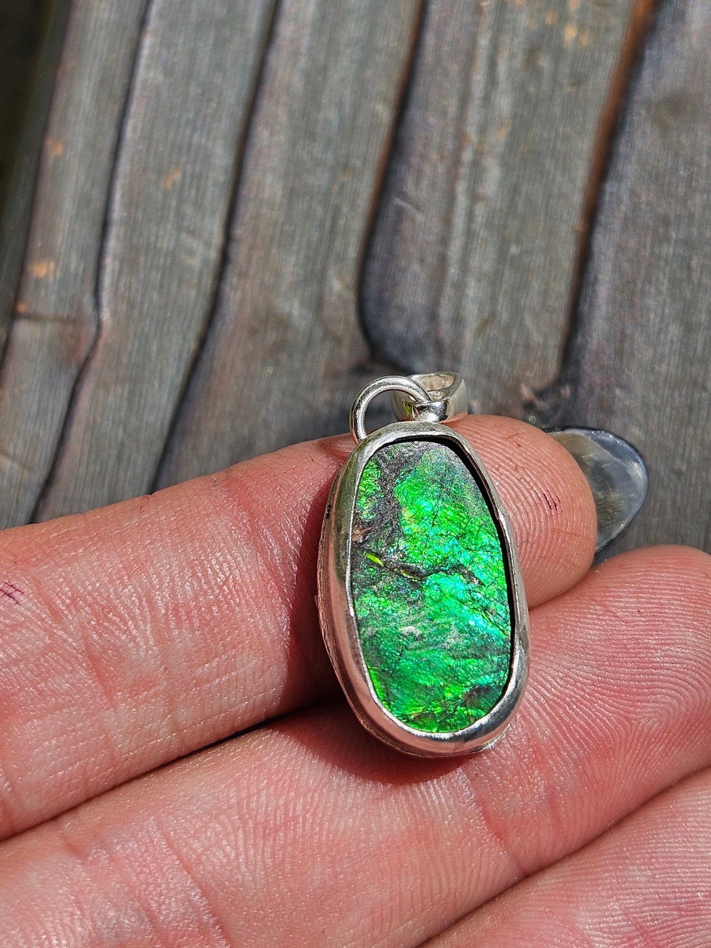 Ammolite Pendant