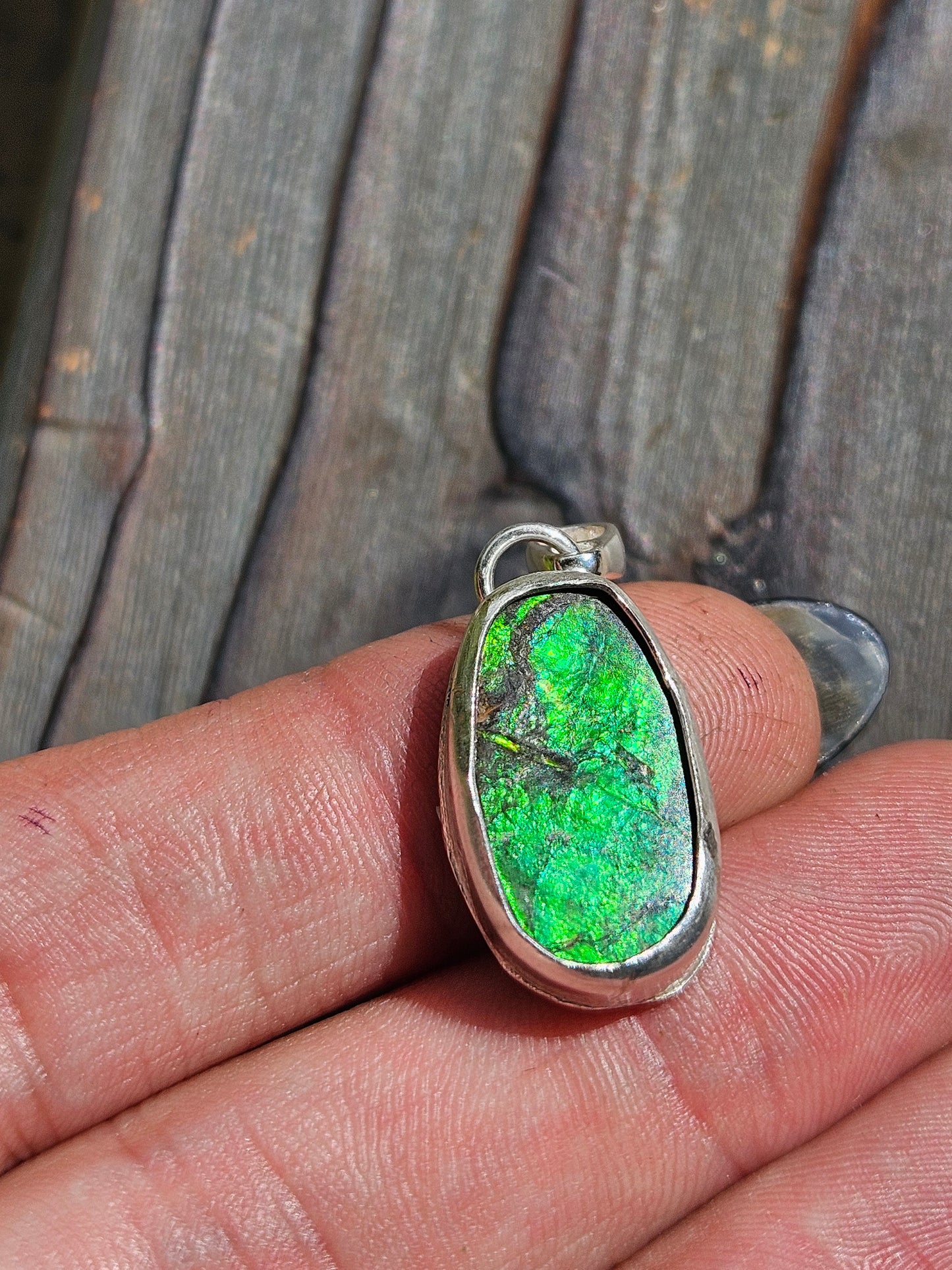 Ammolite Pendant
