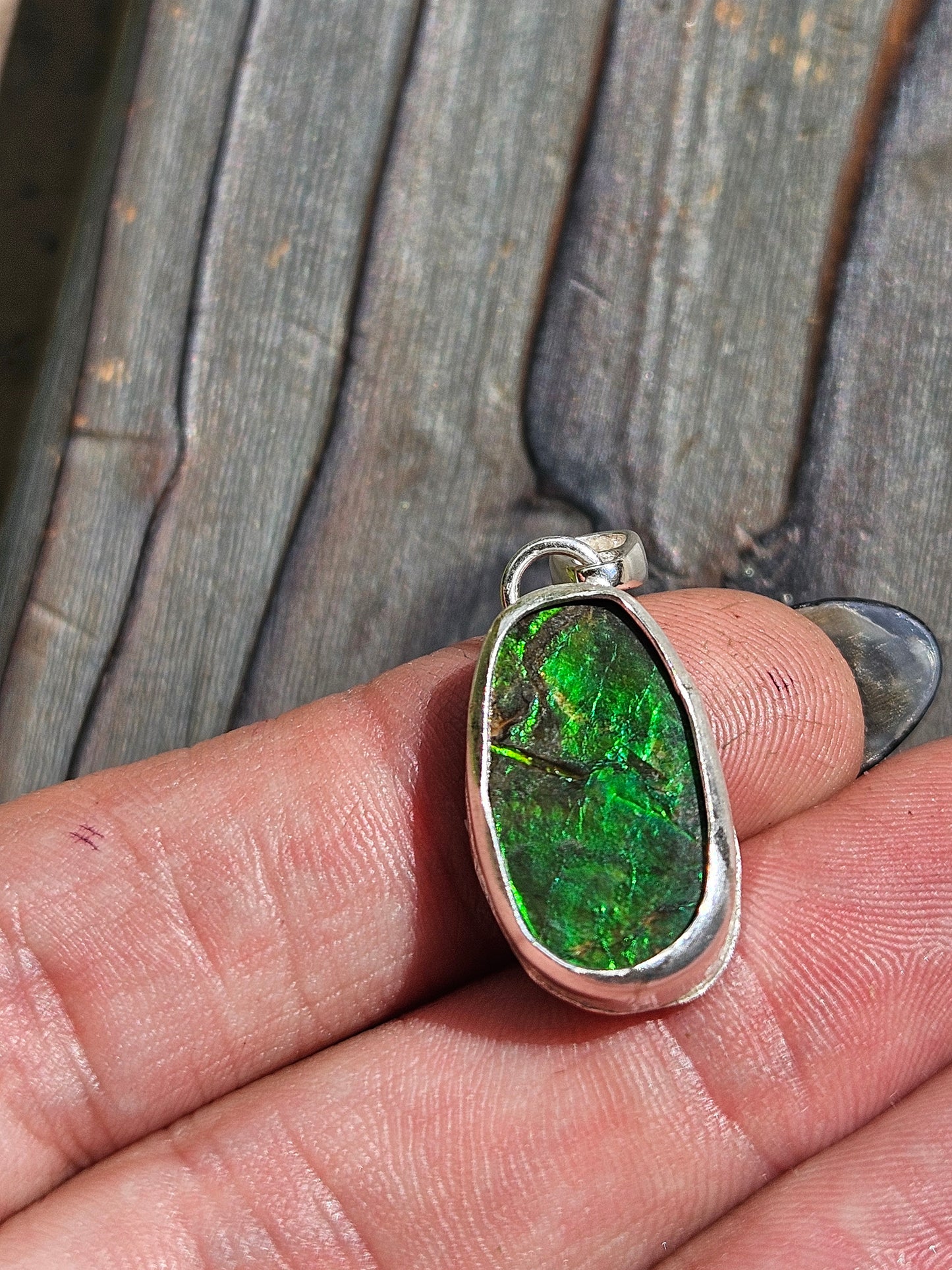 Ammolite Pendant