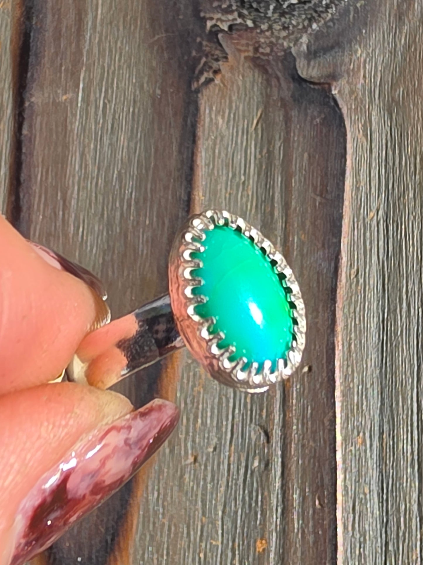 Sonoran Turquoise Ring, Size 6
