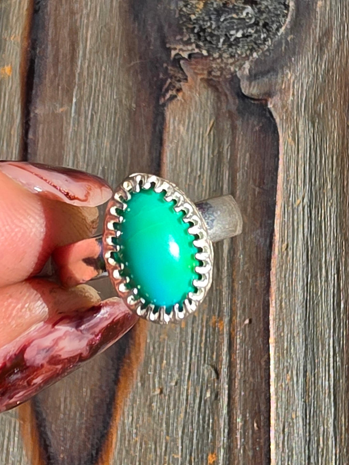 Sonoran Turquoise Ring, Size 6