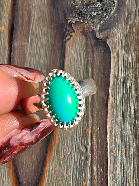 Sonoran Turquoise Ring, Size 6