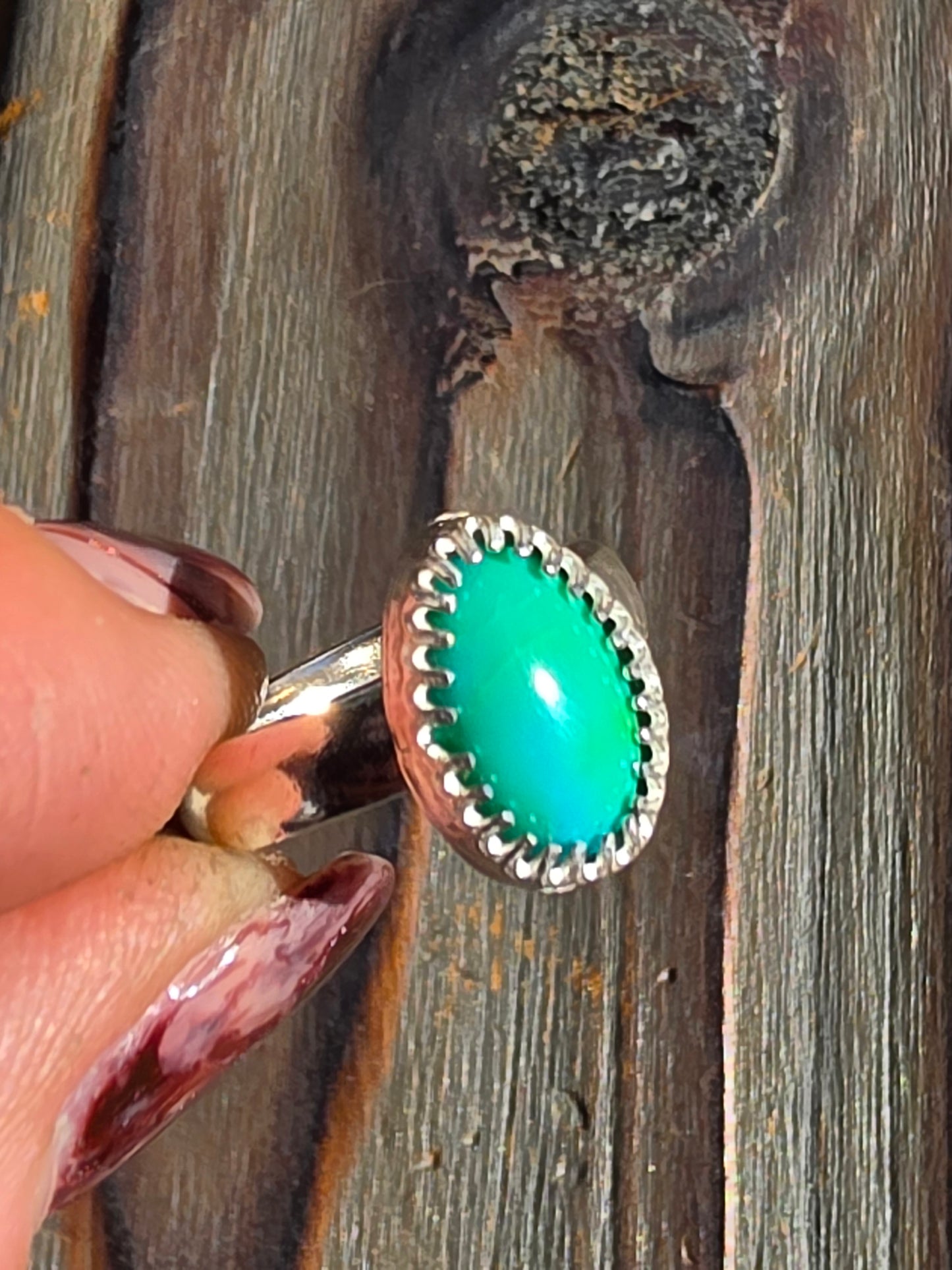 Sonoran Turquoise Ring, Size 6