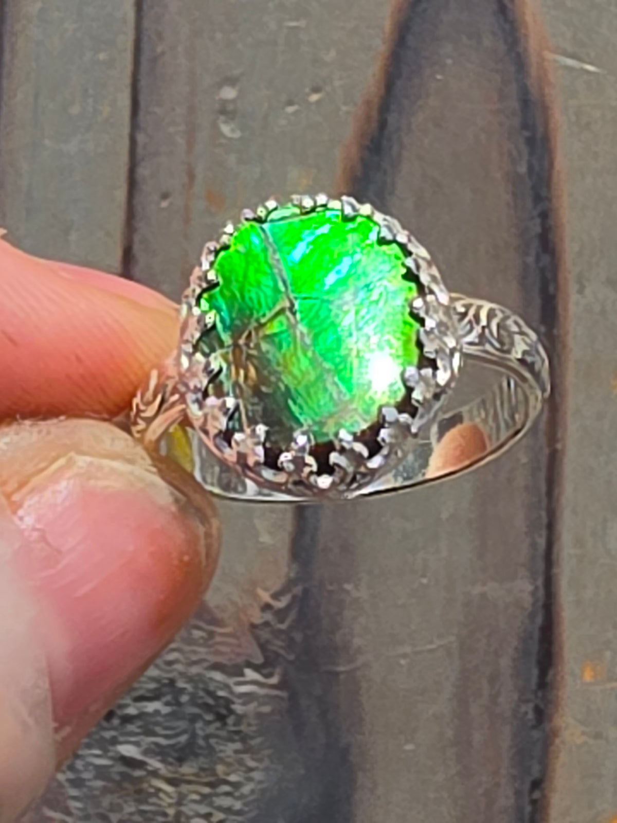 Ammolite Ring, Size 8