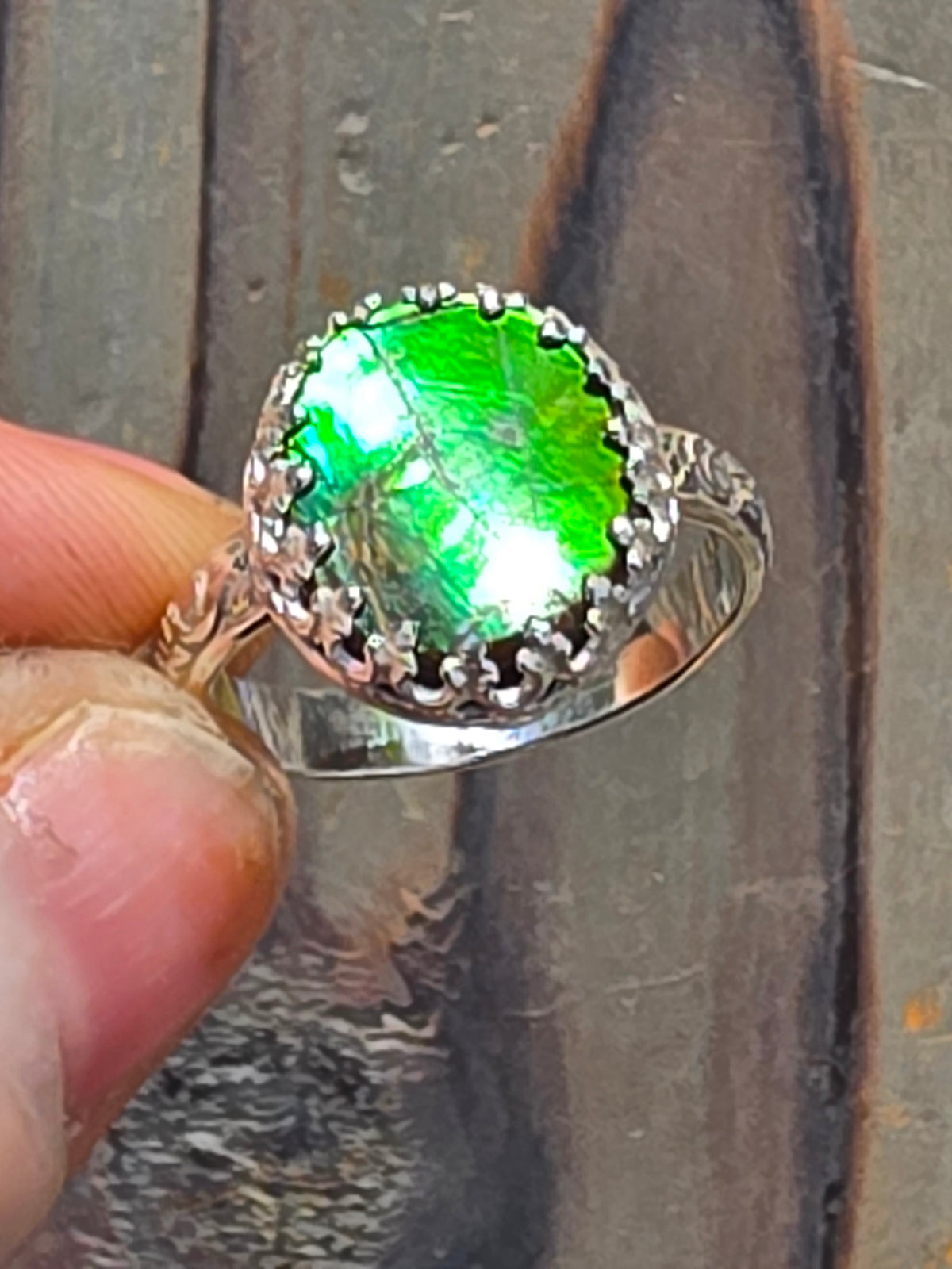 Ammolite Ring, Size 8