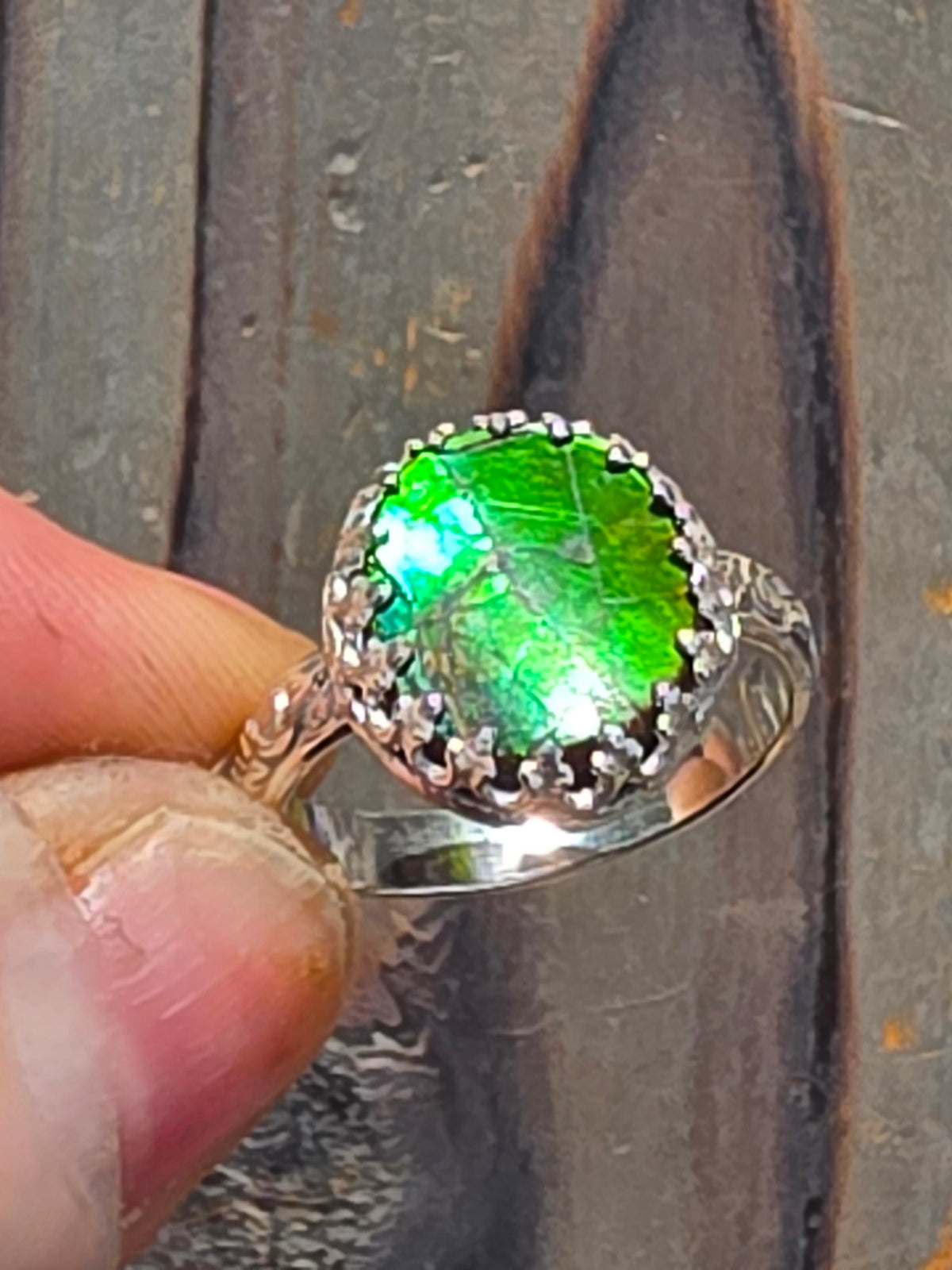 Ammolite Ring, Size 8