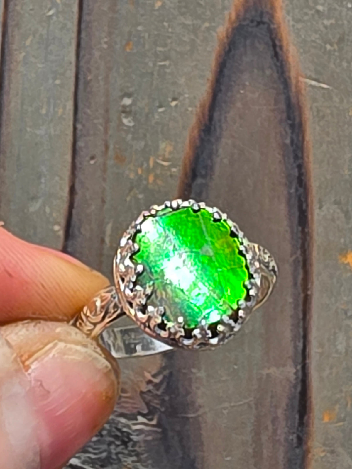 Ammolite Ring, Size 8