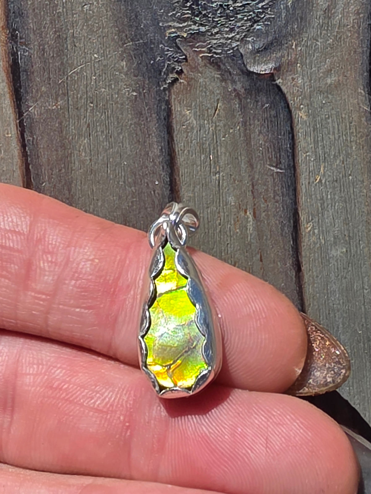 Green Ammolite