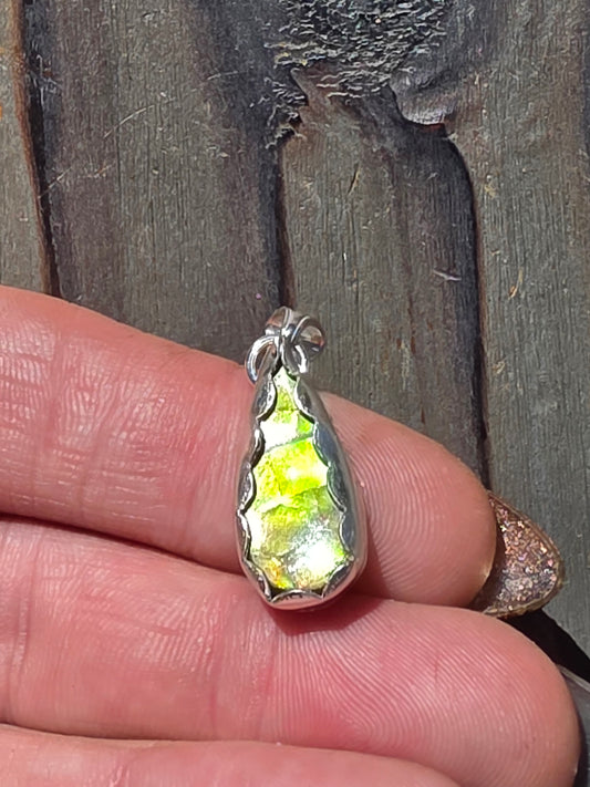 Green Ammolite