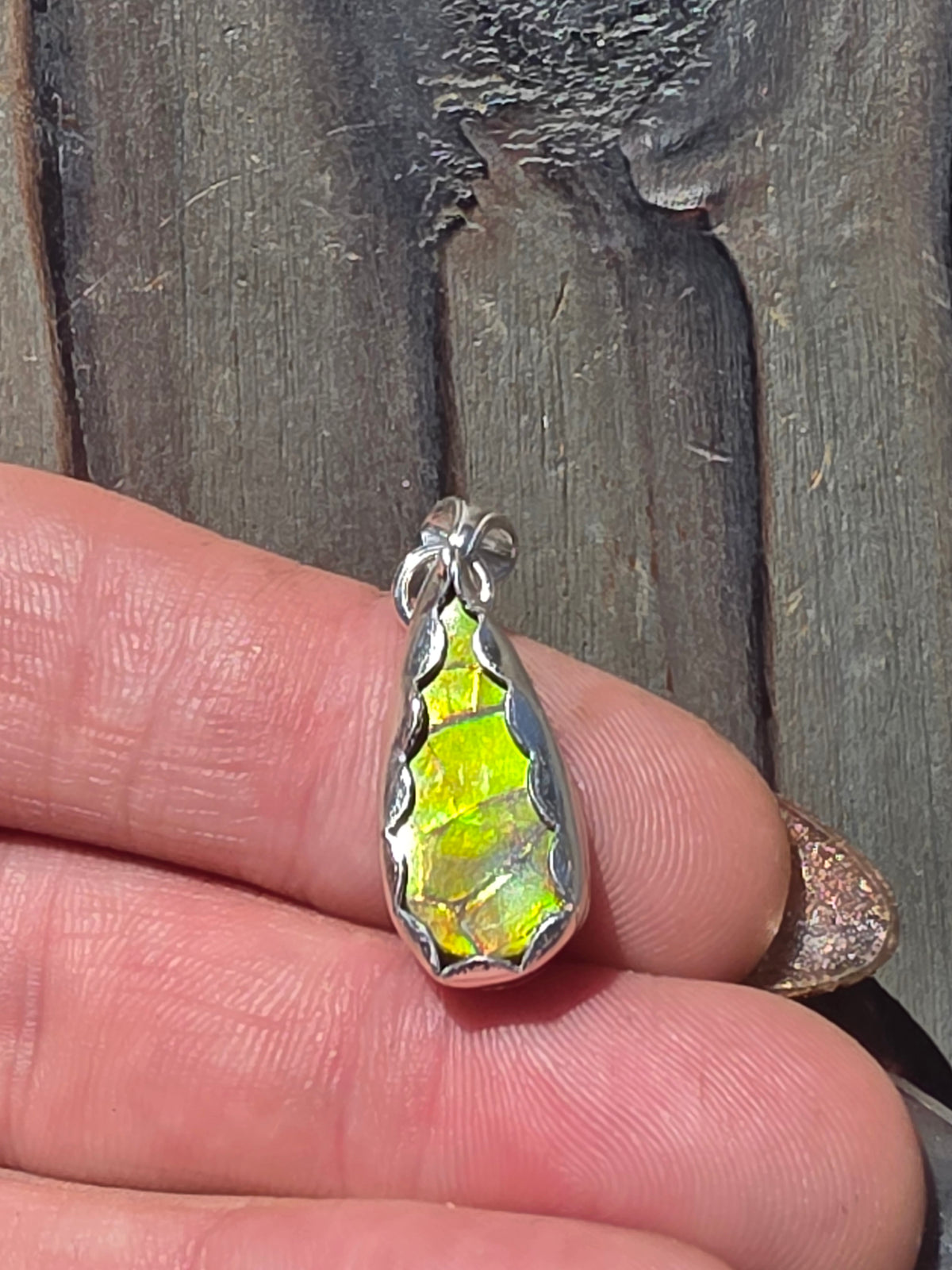 Green Ammolite