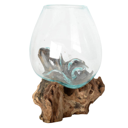 Molten Glass Bowl With Natural Wood and 4 air plants