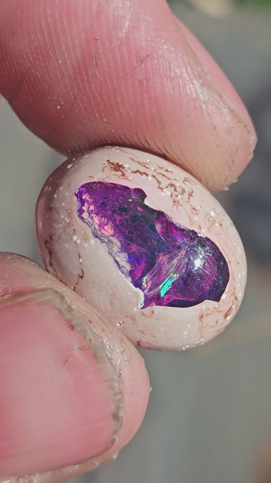 Mexican Galaxy Opal