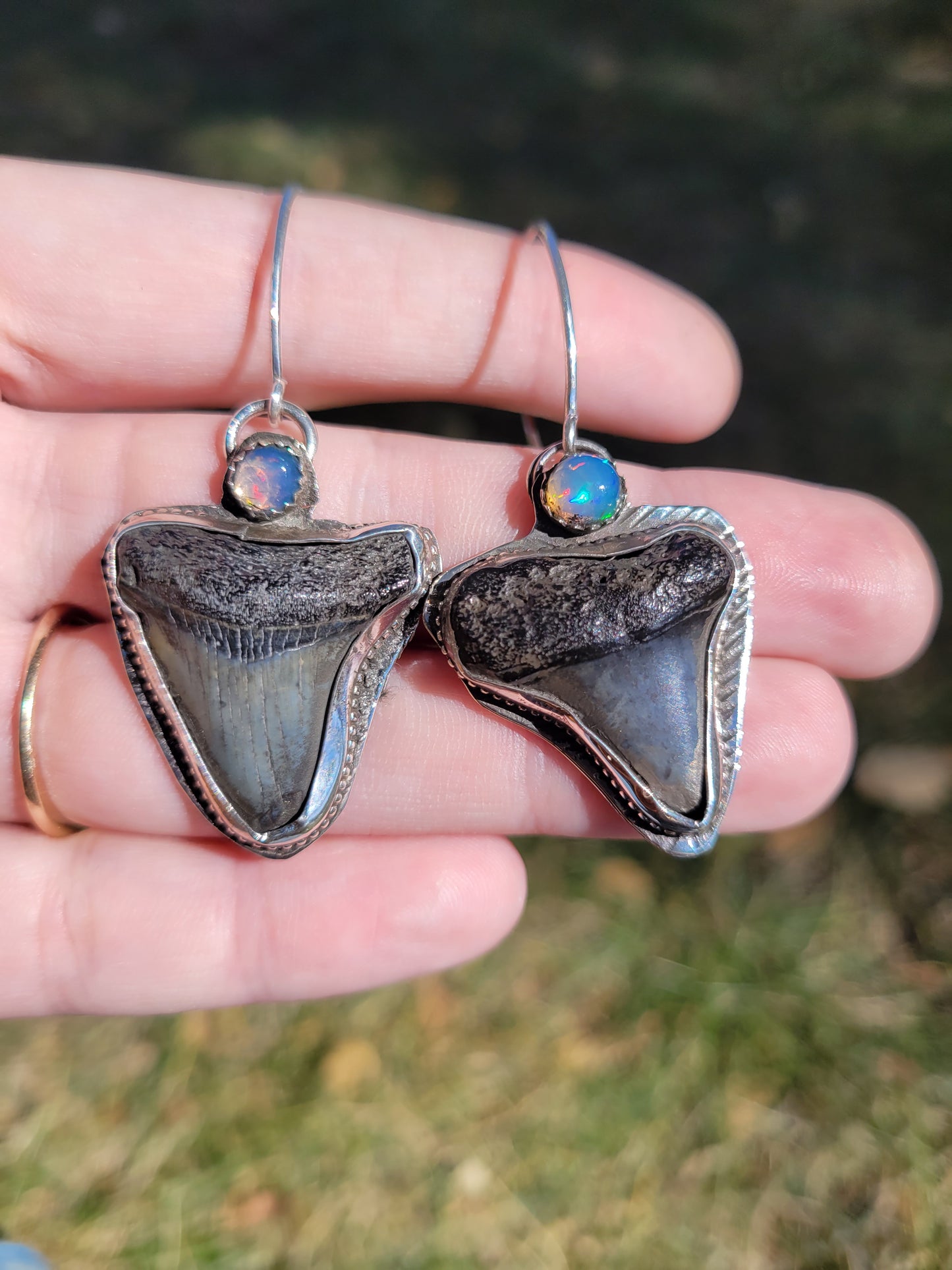 Megalodon Tooth Earrings