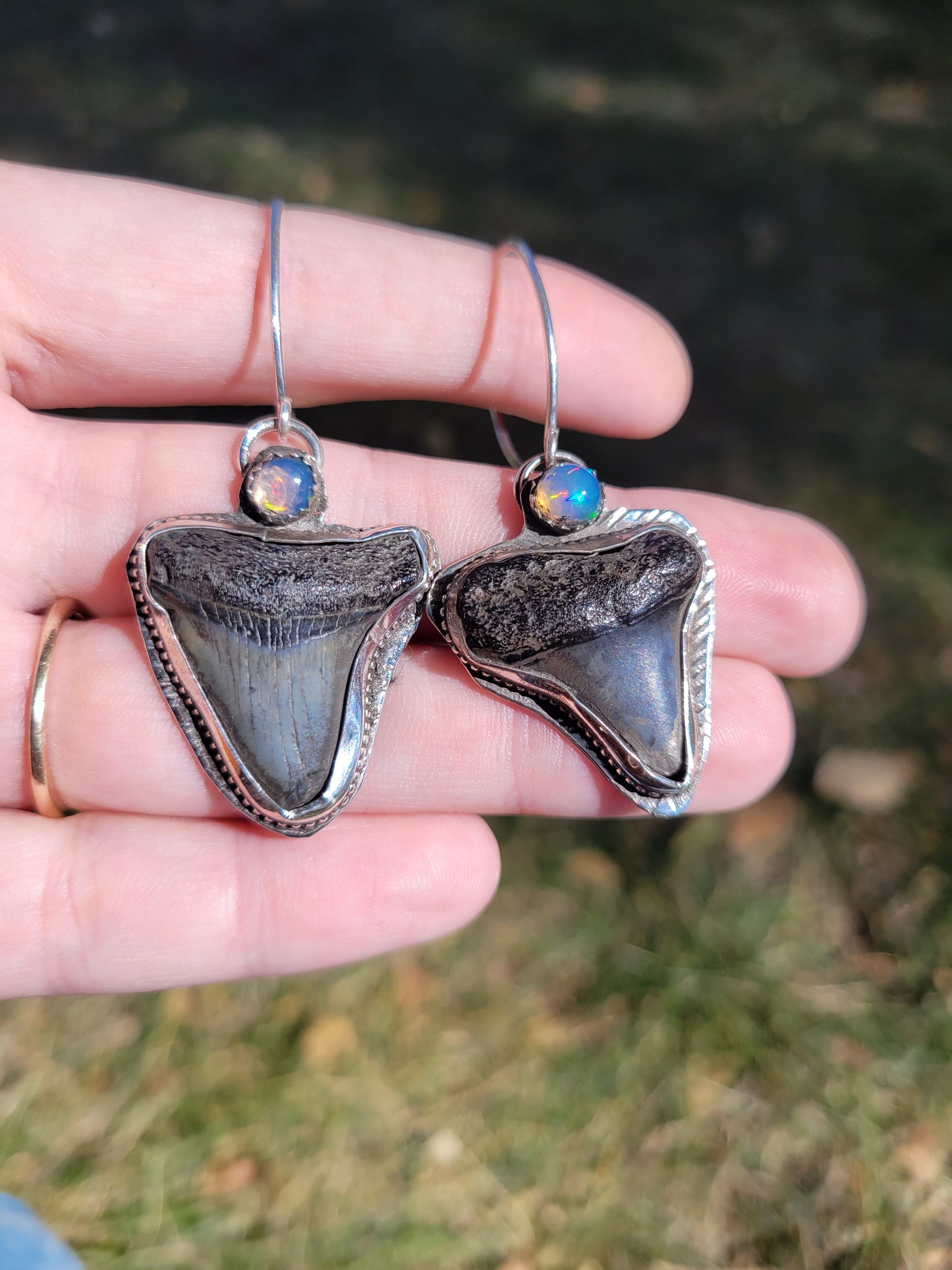 Megalodon Tooth Earrings